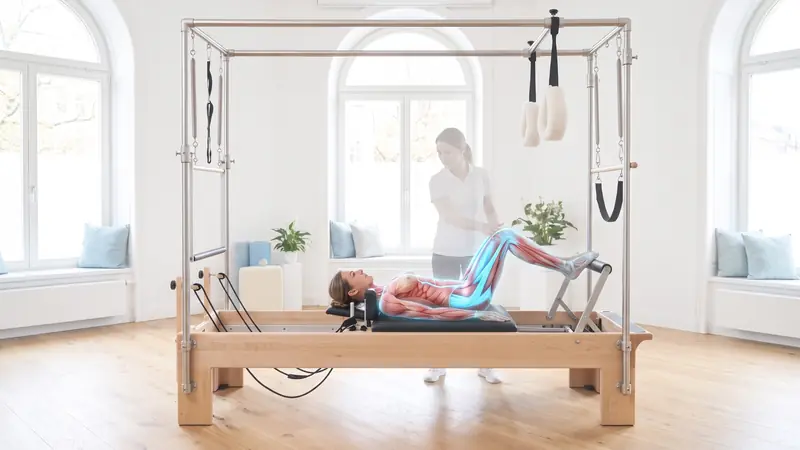 Reformer Pilates: çalışan kas grupları anatomisi